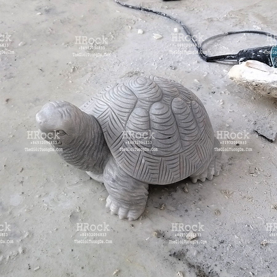 The Light Gray Marble Turtle