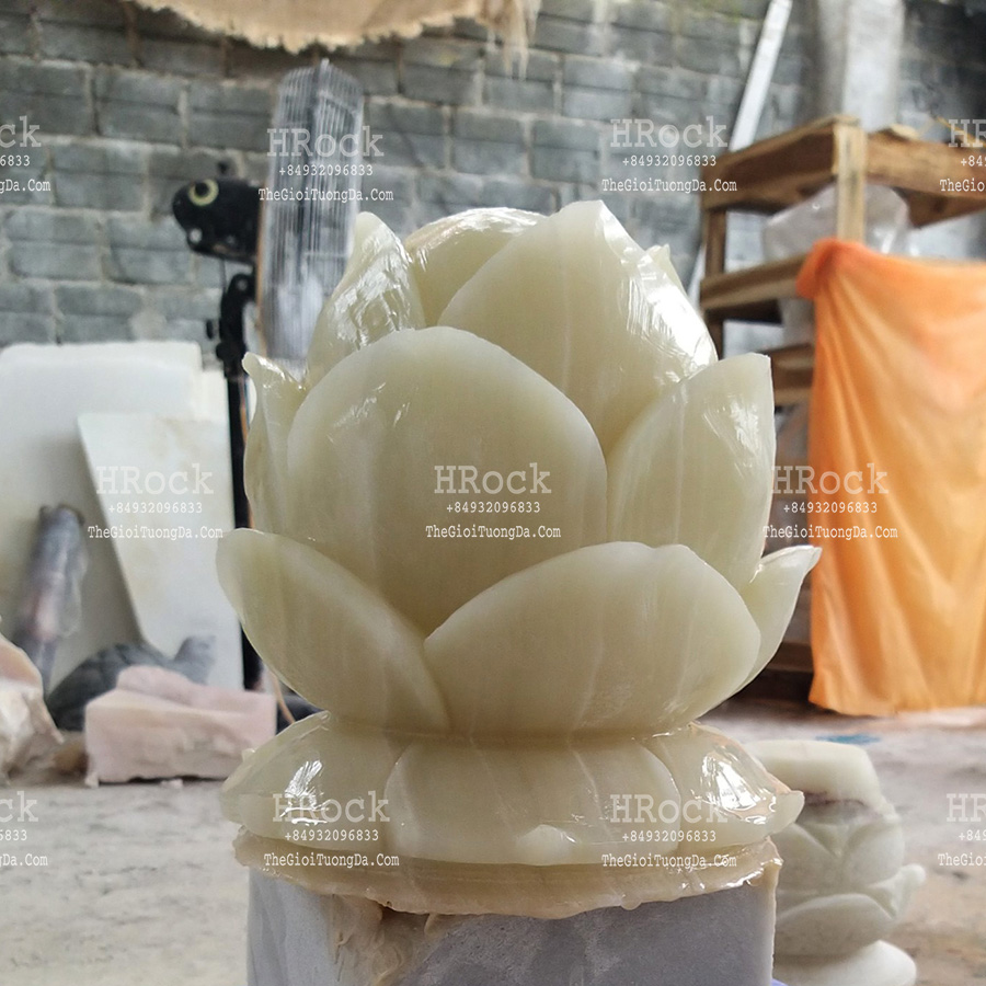 Sen Nở Đá Xanh Ngọc Pakistan